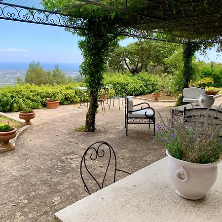 Elena Di Charme Bed & Breakfast Selva Di Fasano